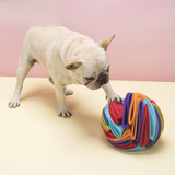 French bulldog nosing a rainbow felt snuffle ball