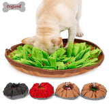 Snuffle mat and slow-feed bowl set