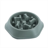 Slow-feed dog bowl in use